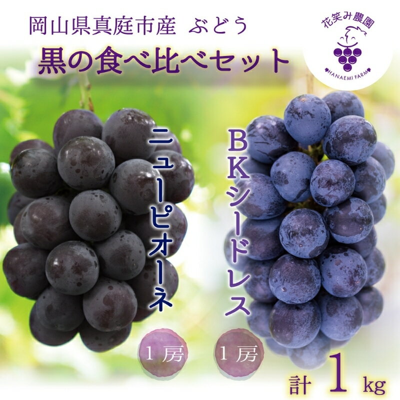 【ふるさと納税】 岡山　花笑み農園の『ニューピオーネ&BKシードレス』1kg(2房)PB-1 hana26-1【2025年9月中旬〜順次発送】【配送不可地域：離島】 贈答用 岡山 真庭 ピオーネ 高級 1kg 贈答 2025 真庭市 大粒 葡萄 ぶどう ブドウ 甘い 濃厚 フルーツ 数量限定【1491631】