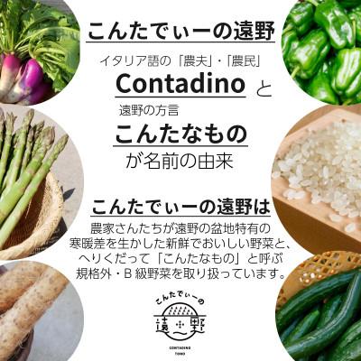 ふるさと納税 遠野市 【発送月固定定期便】奇数月発送 旬のとれたて野菜セット(5~7品)ライトサイズ全6回 |  | 02