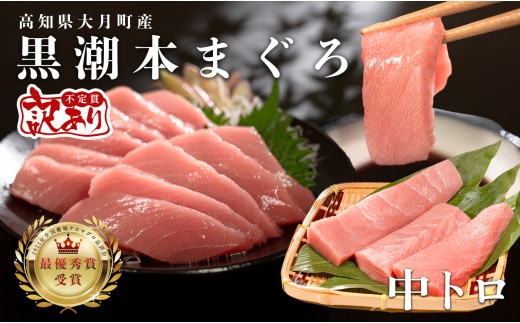 訳あり 不定貫 国産 養殖本マグロ 中トロ 120g 黒潮本まぐろ 全国養殖クロマグロ品評会 最優秀賞受賞 柵 刺身用 本マグロ クロマグロ 本鮪 まぐろ 鮪 お刺身 さしみ トロ 海鮮丼 漬け丼 手巻き寿司 鉄火丼 まぐろ丼 小分け 個包装 真空パック 冷凍 不揃い 家庭用 海鮮 年末年始 高知県 大月町 5千円