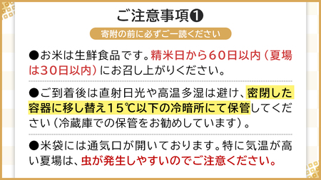 令和6年産 茨城県産 精米 特別栽培米 コシヒカリ 10kg （5kg×2袋） 新米 白米 こしひかり 米 コメ こめ 単一米 限定 茨城県産 国産 美味しい お米 おこめ おコメ