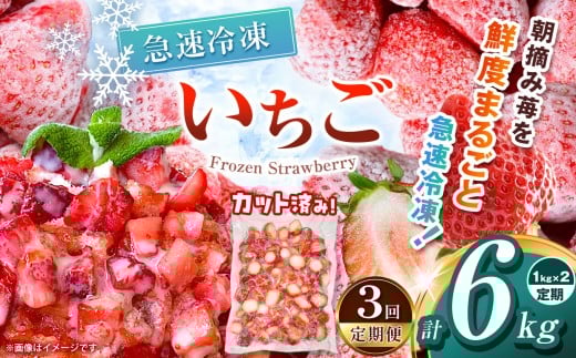 【栃木県共通返礼品】【定期便3回】冷凍いちご 2kg | 定期便 いちご とちあいか 冷凍 冷凍イチゴ スイーツ ジャム スムージー たっぷり 大粒  甘い 美味しい 果物 デザート 栃木県 那珂川町 送料無料