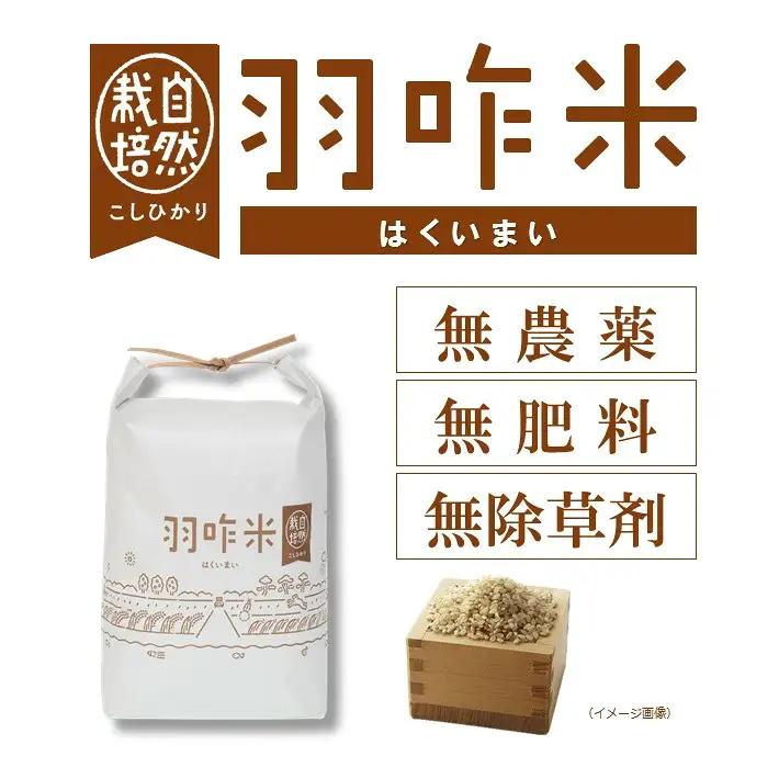 令和8年産 羽咋米 こしひかり 玄米3㎏ 羽咋米