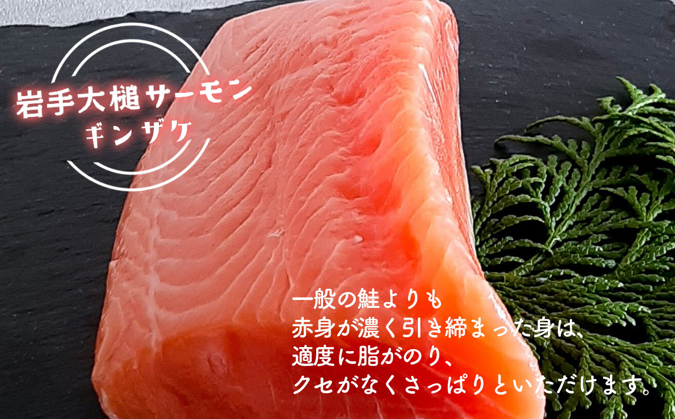岩手大槌サーモン（銀鮭）