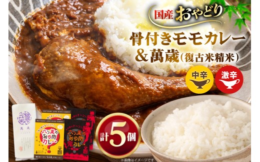 レトルト 六ツ美のあの肉カレー＆萬歳 大正浪漫セット カレー 240g 計 4食 米 500g 1袋[六ツ美養鶏加工協同組合 愛知県 岡崎市 ok23bzw510010] カレー チキンカレー レトルトカレー 中辛 激辛 米 こめ お米 ご飯 精米 国産 おやどり 骨付き もも肉 詰め合わせ ふるさと納税