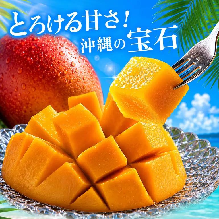 ぼうけんの国 宝石マンゴー 【秀品】アーウィンマンゴー エメラルドclass 約2kg ku01-004