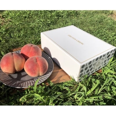 
            ＜桜色に輝く高糖度 さくら白桃＞本場山梨の品種指定約2kg　8月中旬より順次発送【1704739】
          