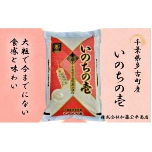 【令和6年産】多古町産いのちの壱 精米5kg【配送不可地域：離島・沖縄県】【1396307】