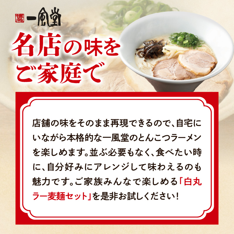 一風堂白丸ラー麦麺セット（12食）  ラーメン 博多 福岡 とんこつ ラー麦 麺 セット