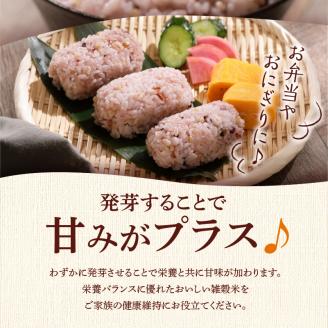 国内産 GABA雑穀米 230g×6個 計1380g_日本雑穀アワード 2年連続 金賞 受賞 GABA 雑穀米 230g 1380g 国産 雑穀 16種 ブレンド 発芽 甘み 栄養 バランス フィチン