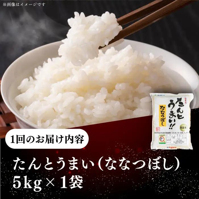 令和7年産 令和8年産 【全2回定期便】ななつぼし [たんとう米] 5kg 米 定期便 2カ月 連続 毎月 お米 白米 ご飯 ななつぼしブランド米 北海道 [AXAB076]