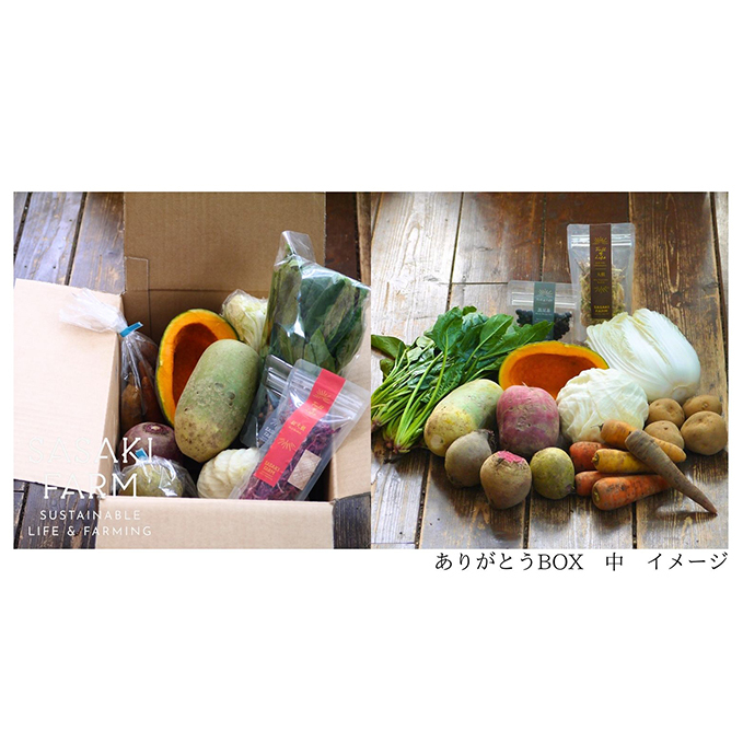 旬の野菜詰め合わせ ～ありがとうBOX2024・中～ 12月1日～1月31日頃お届け 北海道 野菜 やさい 詰め合わせ セット 北海道産 常備菜 加工品 自然栽培 佐々木ファーム 産地直送 洞爺湖町