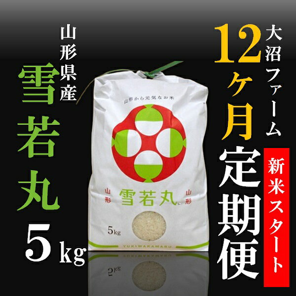【ふるさと納税】10月スタート【定期便12回】大沼ファームの雪若丸5kg