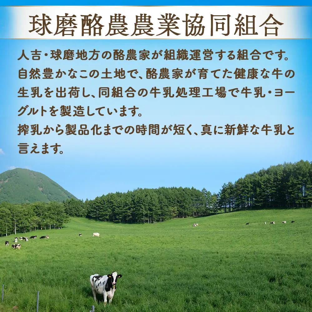 球磨の恵み ヨーグルト 加糖・砂糖不使用 1000g×各2個セット 合計4kg【 新鮮 生乳使用 とろーり もっちり 加糖ヨーグルト 砂糖不使用 プレーンヨーグルト 食べるヨーグルト 】 074-04