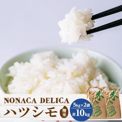 ふるさと納税 岐南町 ノナカデリカの自家製米 10kg(5kg×2袋)