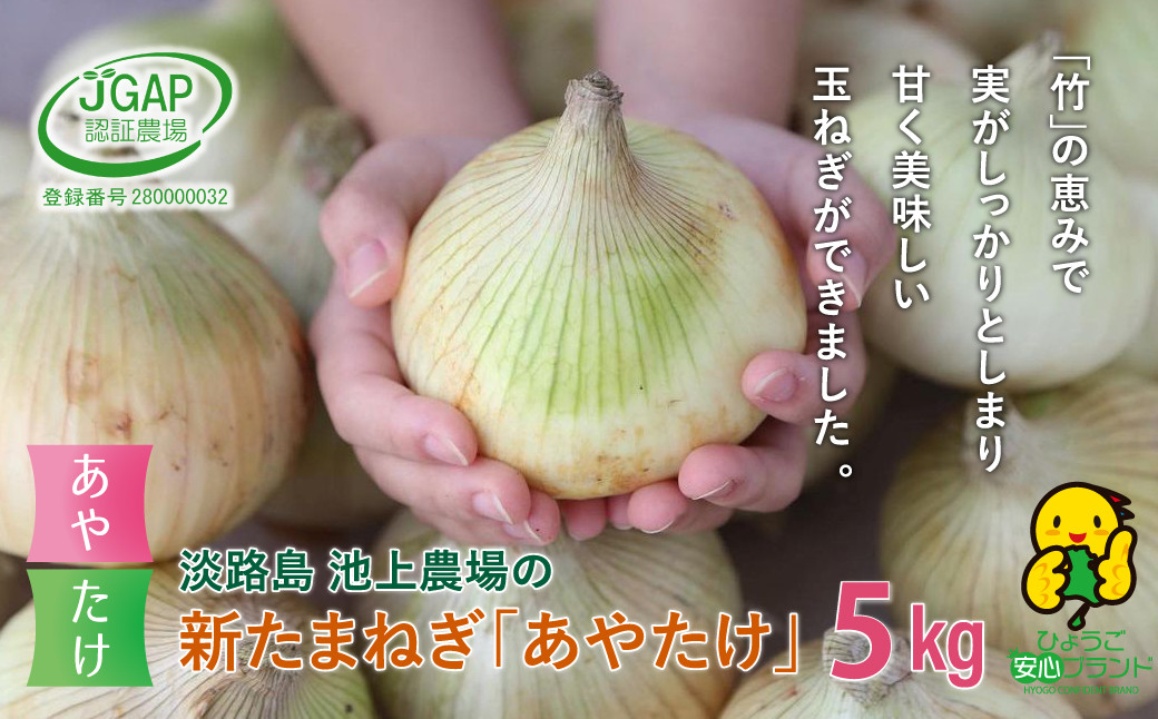 
【新たまねぎ】淡路島　池上農場の「あやたけ」5kg【発送時期：2025年3月下旬～5月頃】
