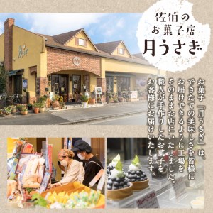 歴史と文学の道 (計10個) 小豆 スイーツ スウィーツ 菓子 焼き菓子 和菓子 おやつ 詰め合わせ セット 個装 大分県 佐伯市【ER009】【(株)古川製菓】