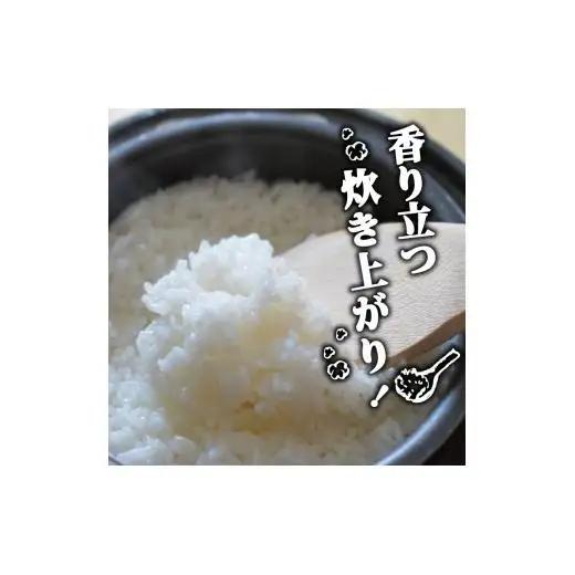 R8 新米 コシヒカリ 5kg 定期便 3ヶ月 8月下旬から発送 新米 産地直送 高知県産 白米 精米 こしひかり 米 常温 配送 ブランド米 国産 はくまい 白 玄米 米 こめ おこめ 早場米 産地