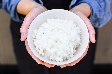 青天の霹靂 (特別栽培米) 白米10kg 令和5年産 青森県産米 [お申込み後に精米]｜2023年産 新米 つがる市 お米 米 こめ へきれき [0362]