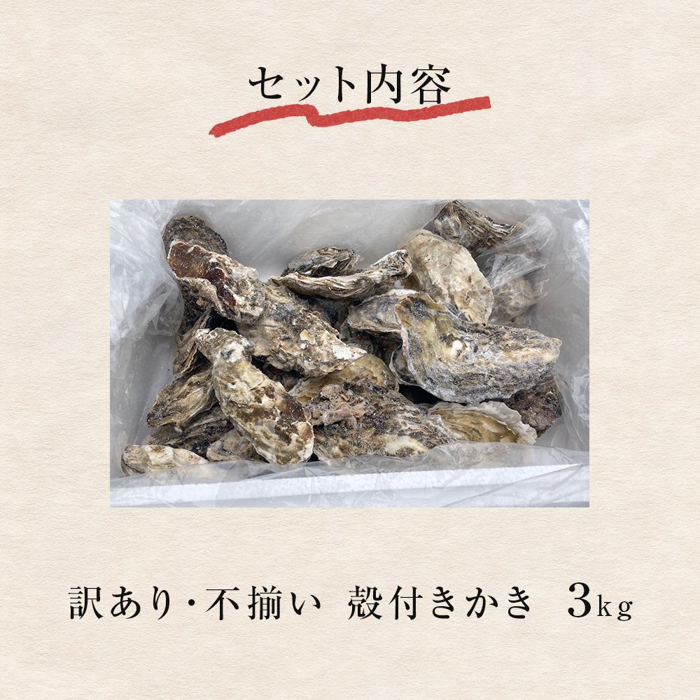 ＜訳あり・不揃い＞ 牡蠣 冷凍 殻付き 牡蠣 3kg 三陸産 不揃い カキ かき 加熱用 カンカン焼き ガンガン焼き 蒸し牡蠣 カキ 真牡蠣 BBQ 浜焼き バーベキュー 新鮮 海鮮 魚介 国産 取り