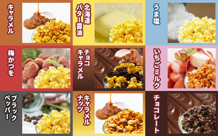 ジェリーズ ポップコーン 人気フレーバー 9個 詰め合わせ セット Mサイズ | ポップコーン