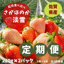 【ふるさと納税】【定期便3回】佐賀県産 紅白いちご食べ比べ 2~4月発送:B395-011