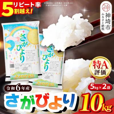 ふるさと納税 神埼市 【数量限定】【令和6年産】さがびより 精米 10kg(H015196)