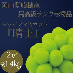 [HS]9月・10月発送 最高級品 シャインマスカット 晴王 2房 〈合計約1.4kg〉｜  シャインマスカット
