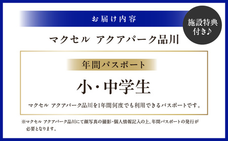 マクセル アクアパーク品川 年間パスポート 小・中学生