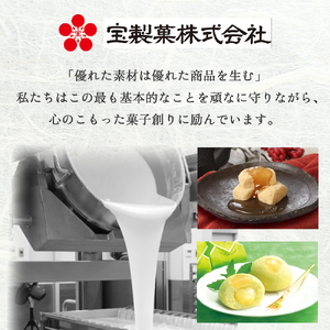 宝製菓 砂丘珈琲サブレ お菓子 焼菓子 珈琲 サブレ クッキー お土産 手土産 おやつ 鳥取県 倉吉市