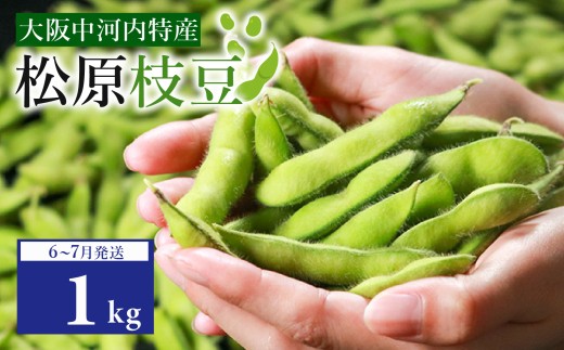 【濃厚な甘み】有機肥料 枝豆 大粒 選べる 1kg ぷっくりホクホク食感！ えだまめ 夏野菜 旬 産地直送 冷蔵 お中元 上田ファーム 大阪府 松原市