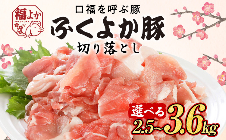 
                  豚肉 ふくよか豚 切り落とし 量が選べる 2.5kg 3.0kg 3.6kg モモ ウデ モモ肉 ウデ肉 小分け 真空パック ブタ肉 ぶた肉 生姜焼き 焼きそば 豚汁 冷凍 福岡県 福岡 九州 グルメ お取り寄せ 国産 肉 お肉 にく 切り落とし肉 豚肉セット パック ぶた 真空 冷凍 豚丼 国産豚 選べる内容量 食べきり 晩ごはん おかず 便利 夕食 肉料理 豚ニラ 野菜炒め 肉じゃが 普段使い
                