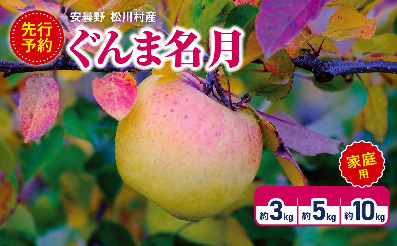 
                  【2026年先行予約】訳あり 家庭用 ぐんま名月 選べる内容量 約3kg ・ 約5kg ・ 約10kg ｜ 山とりんご リンゴ りんご 林檎 果物 フルーツ 果実 果汁 ぐんま名月 ぐんまめいげつ 家庭用 長野県 松川村 北アルプス 信州
                
