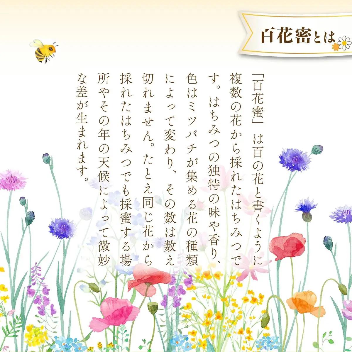 はちみつ 熊手蜂蜜 百花蜜 800g×2本 はちみつ
