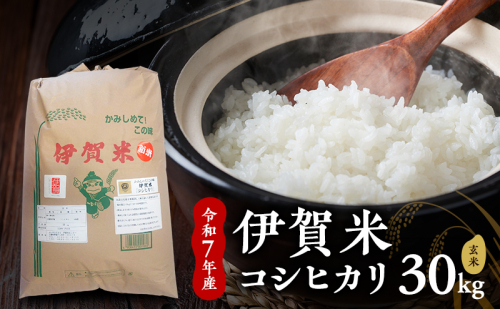玄米 コシヒカリ 【玄米】令和7年産　伊賀米コシヒカリ　30kg　お米 米 ごはん 健康 食物繊維 産地直送 農家直 三重県 名張市 新米 美味しい まとめ買い 銘柄米