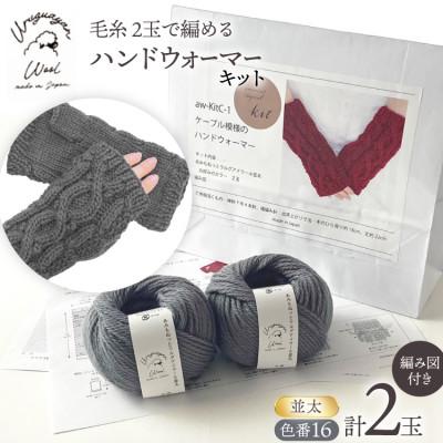 ふるさと納税 江南市 毛糸2玉で編めるケーブル模様のハンドウォーマーキット 16番色