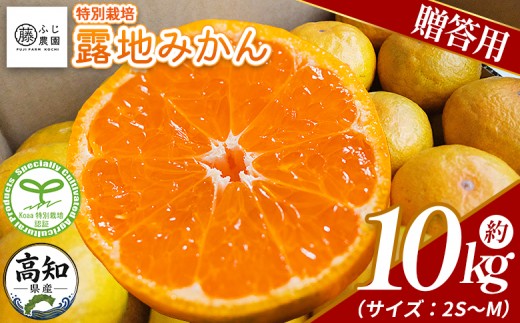 
            【2026年10月以降順次配送分】ふじ農園の露地みかん 贈答用 10kg (2S～M) - 国産 蜜柑 ミカン 柑橘 果物 フルーツ 贈答 プレゼント ギフト 贈り物 ふじ農園 高知県 香南市 常温 fn-0011
          