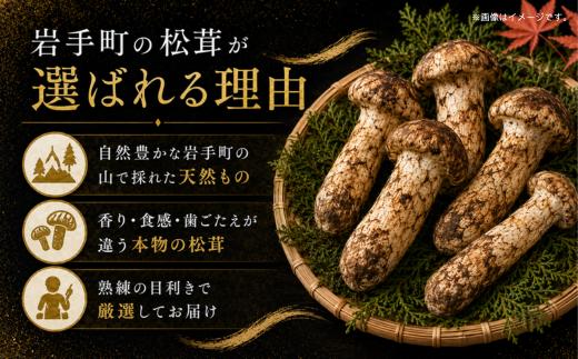 【2027年発送先行予約】松茸 国産松茸 500g 天然松茸 国産天然松茸 岩手県産松茸 岩手町産松茸 まつたけ マツタケ 天然まつたけ 国産まつたけ 「先行予約」 国産 天然 きのこ 秋の味覚 旬 