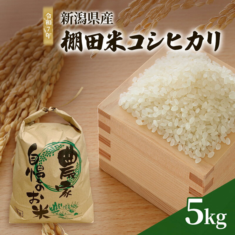 【ふるさと納税】令和7年産 新潟県産 棚田米 コシヒカリ 5kg 5キロ 上越市 清里区厳選 こしひかり 米 白米 精米