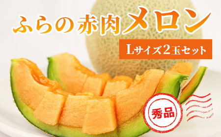 【令和8年産】ふらの 赤肉メロン 秀品 Lサイズ 1.6kg～1.9kg 2玉 セット ファーム富良野 メロン めろん 果物 くだもの フルーツ デザート 北海道 北海道上富良野町 