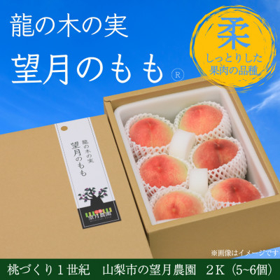 
柔らかめの品種の桃・2K(5~6個)　　　「龍の木の実 望月のもも」【1489722】
