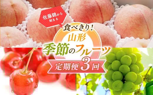 【2026年先行予約 定期便3回】 佐藤錦から始まる食べきり！山形季節のフルーツ定期便 FSY-2318