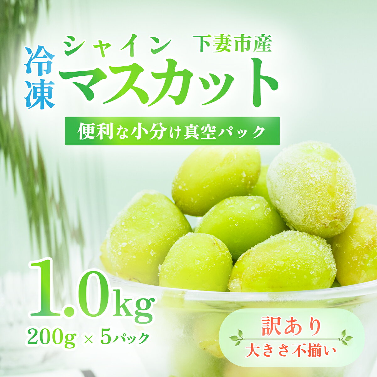 【ふるさと納税】【訳あり】冷凍シャインマスカット約1kg（約200g×5パック） 冷凍食品 真空パック 国産 皮ごと食べられる種なしぶどう ぶどう 果物 フルーツ ギフト 簡単 便利グレープ おすすめ 人気 デザート おやつ【TV等で話題の凍眠（急速冷凍）】