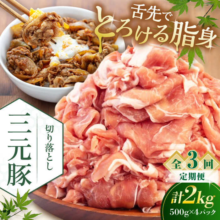【ふるさと納税】 定期 三元豚 切り落とし 2kg 500g×4パック ▼ 全3回 定期便 《喜茂別町》【平田牧場】 肉 豚肉 生姜焼き 小分け 冷凍 冷凍配送 定期便 定期 北海道 平田牧場 おすすめ [AJAP035] 60000 60000円 6万円