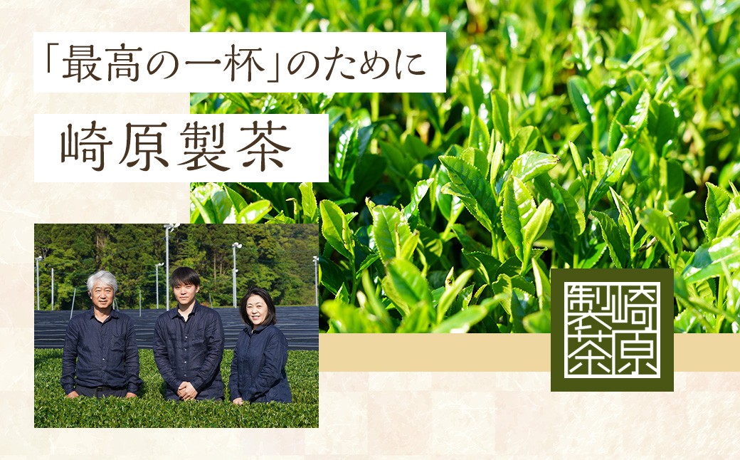 【お試し用】崎原製茶 ST1-12（12種セット）