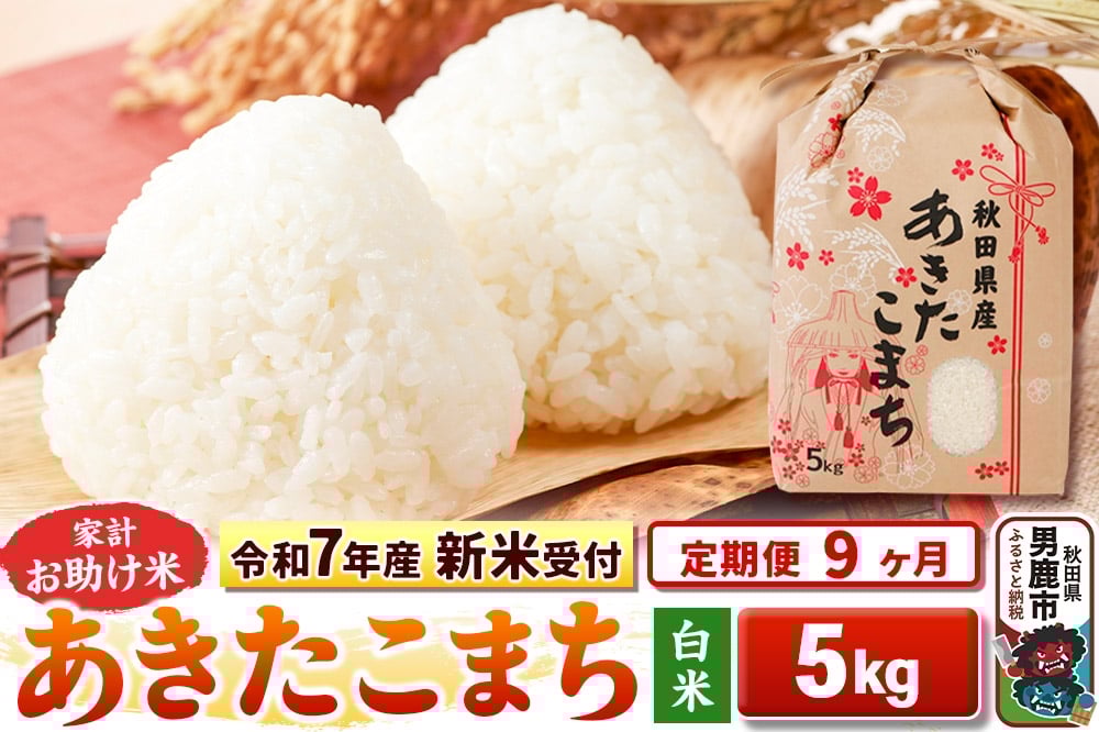 
            《令和7年産 新米受付》《定期便9ヶ月》【白米】家計お助け米 あきたこまち 5kg
          
