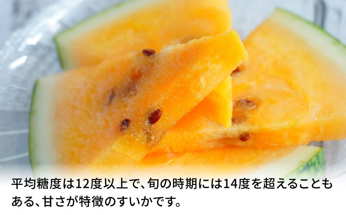 【先行予約】【数量限定】金色羅皇 スイカ 2L以上 1玉 約7kg 【日本フルーツ株式会社】 [ZFJ008]