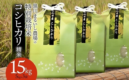 【令和7年産】 黒川まるいし農場の特別栽培米 コシヒカリ 精米 15kg(5kg×3袋) 山形県鶴岡市産　K-7129