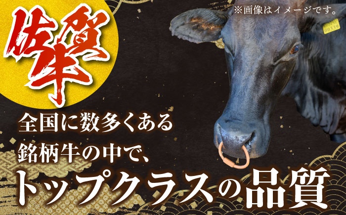 【切りたての圧倒的な美味さ】佐賀牛 ロース切り落とし 500g（【肉の三栄】 [HAA111]