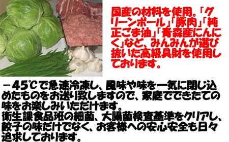みんみんの餃子120個 （8コ×15パック） 餃子専門店 みんみん みんみん餃子 ギョーザ ぎょうざ ギョウザ 富山 惣菜 おかず 中華 点心 冷凍 冷凍食品 肉加工品 加工品 富山県高岡市 FAD-