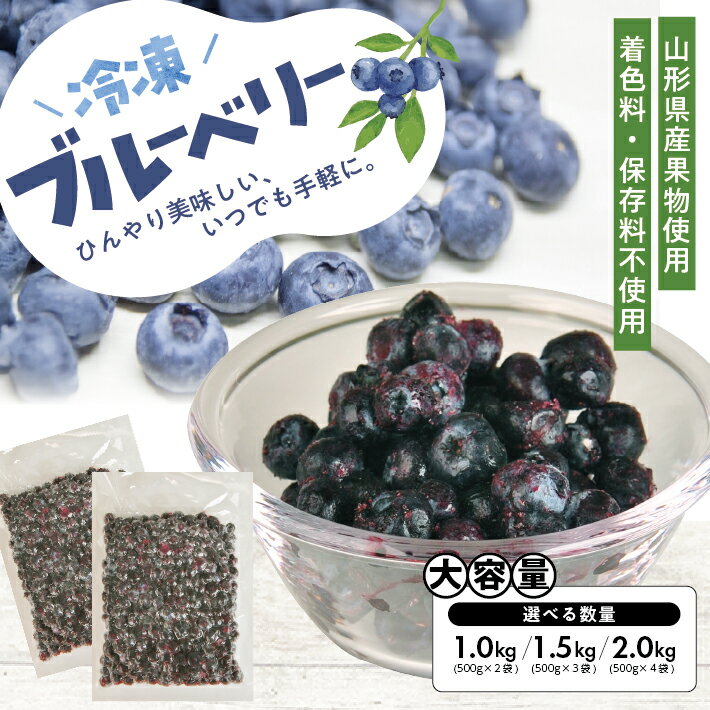 【ふるさと納税】冷凍ブルーベリー 選べる数量 2～4袋 1袋あたり500g 山形県産 冷凍便 ※離島発送不可 冷凍 冷凍フルーツ ブルーベリー フルーツ ジャム ジュース スムージー 小分け お菓子作り ゆざ食彩工房 遊佐町 庄内 東北